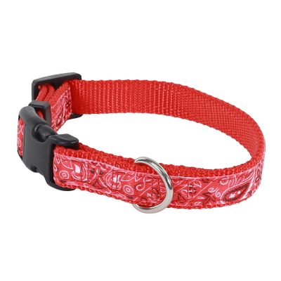 Image showing  Adjustable Dog Collar, Extra Small, Red