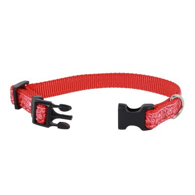Image showing  Adjustable Dog Collar, Extra Small, Red