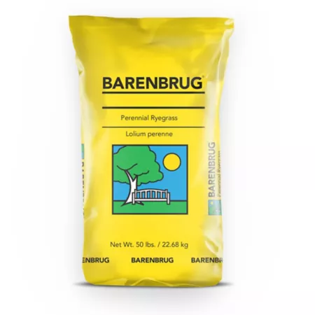 Barenbrug 50 lb 10 000 sq ft Barlennium Perennial Ryegrass Seeds Grass Seed