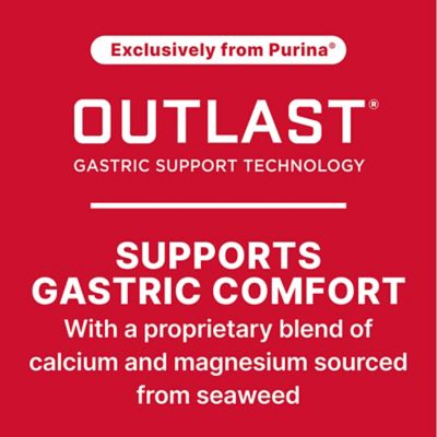 Image showing 8 th Purina Smart Edge Horse Feed, 50 lb. Bag