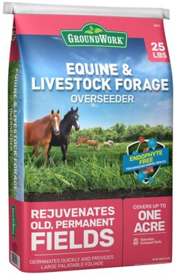 GroundWork 25 lb. Equine and Livestock Forage Overseeder Mix Grass Seed