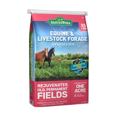 GroundWork 25 lb. Equine and Livestock Forage Overseeder Mix Grass Seed