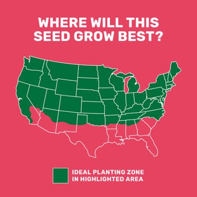 Image showing  25 lb. 1 Acre Equine and Livestock Forage Overseeder Mix Grass Seed
