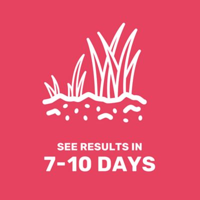 Image showing 5 th GroundWork 25 lb. 1 Acre Equine and Livestock Forage Overseeder Mix Grass Seed