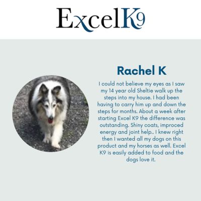 Image showing  Anti-Inflammatory Camelina Oil Hip and Joint Supplement for Dogs, 3 lb.