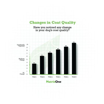 Image showing  Anti-Inflammatory Canine Hip and Joint Supplement for Dogs, 8 oz.