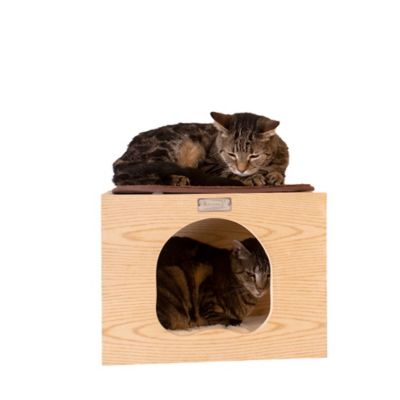 Image showing  Real Wood Cat Wall Tree with Condo, Step-Up, Scratching Post and Perch, 12 in.