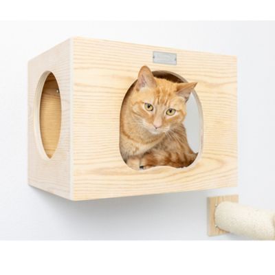 Image showing  Wall Series Cat Tree with Condo with Soft Perch, 14 in.