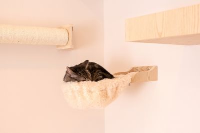 Image showing  Wall Series Cat Tree with Condo with Soft Perch, 14 in.