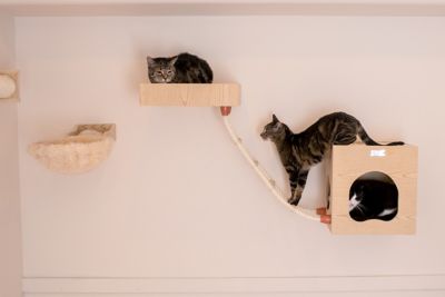 Armarkat Wall Series Cat Tree With, Cat Wall Shelves Nz