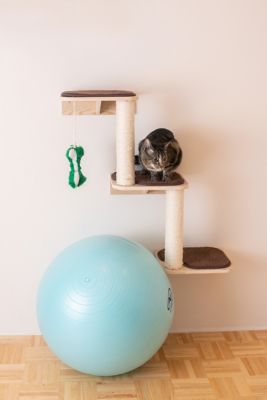 Image showing  Real Wood Wall Series Wall-Mounted Cat Climber Steps