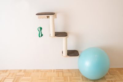 Image showing  Real Wood Wall Series Wall-Mounted Cat Climber Steps