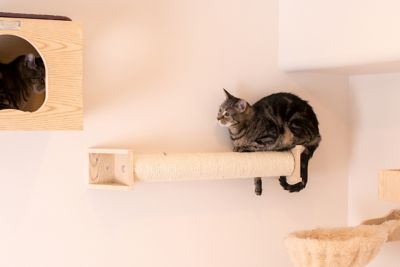 Image showing 3 th Armarkat Wall Series Wall-Mounted Natural Sisal Cat Scratching Post, 30 x 4 x 4in.