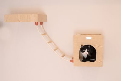 Image showing  Real Wood Wall Series Soft Wall-Mounted Cat Climbing Ladder, 28 in. x 8 in.