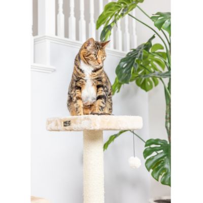 Image showing 6 th Armarkat 32 in. Classic Real Wood Cat Tree, Beige