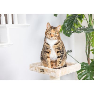 Image showing 8 th Armarkat 32 in. Classic Real Wood Cat Tree, Beige