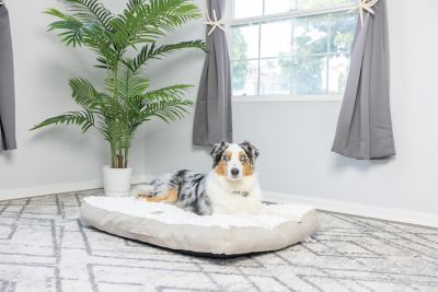 Image showing  Dog Mat with Handle, 40 in. x 29 in. x 6 in.