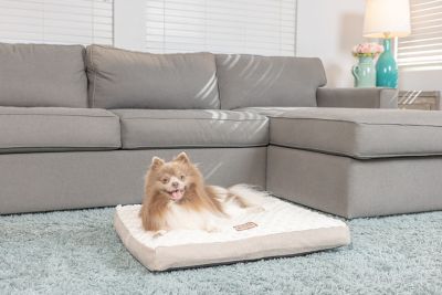 Image showing  Dog Mat with Handle, 40 in. x 29 in. x 6 in.