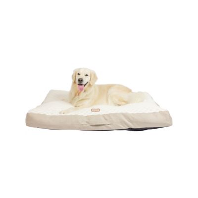 Armarkat Dog Mat with Handle