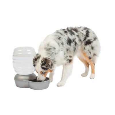 Image showing  Replendish Pet Waterer with Microban Pearl, 2.5 gal. Capacity