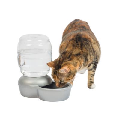Image showing  Replendish Dishwasher Safe Plastic Pet Waterer with Microban, 8 Cups