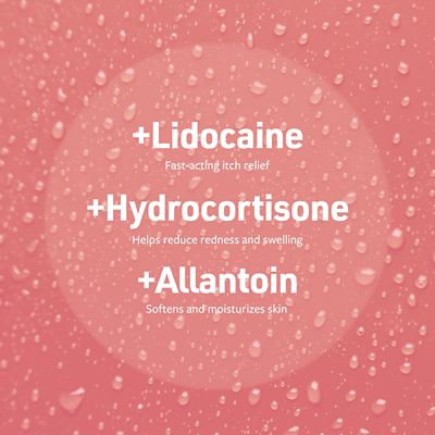 Image showing  Hot Spot and Itch Relief Medicated Spray for Dogs and Cats, 8 oz.