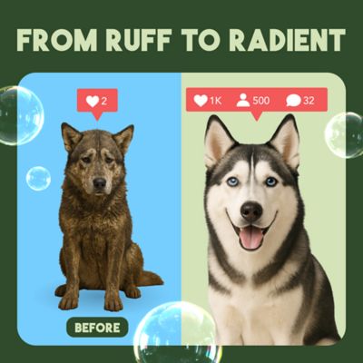 Image showing 7 th TropiClean Shampoo for Cats and Dogs, Lime and Coconut, 20 oz.