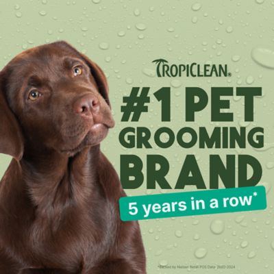 Image showing 5 th TropiClean Alcohol-Free Pet Ear Wash for Dogs, 4 oz.