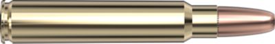 Image showing  375 Ruger 300 gr DGX Bonded Ammunition, 82336