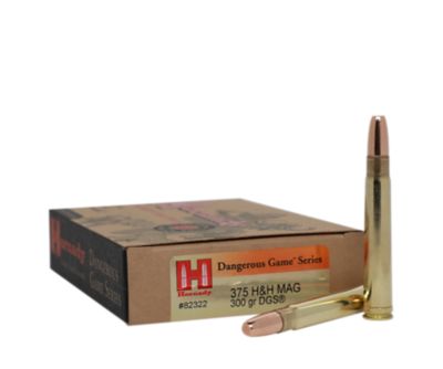 Image showing  375 H&H 300 gr DGS Ammunition, 82322