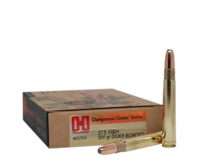 Image showing  375 H&H Magnum 300 gr DGX Bonded Ammunition, 82334