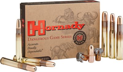 Image showing  375 H&H Magnum 300 gr DGX Bonded Ammunition, 82334
