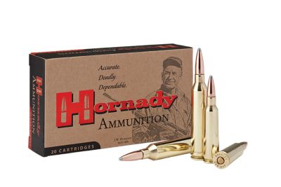 Image showing  250 Savage 100 gr InterLock SP Ammunition, 8132