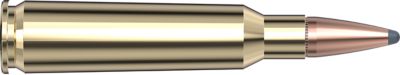 Image showing  250 Savage 100 gr InterLock SP Ammunition, 8132