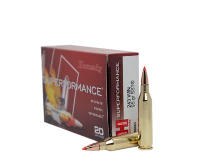 Image showing  243 Winchester 95 gr SST Superformance Ammunition, 80463