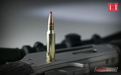 Image showing  45-70 Government 325 gr FTX LEVERevolution Ammunition, 82747