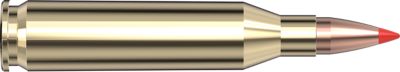 Image showing  243 Winchester 58 gr V-MAX Superformance Ammunition, 8343