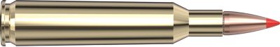 Image showing  6mm Remington 95 gr SST Superformance Ammunition, 81663