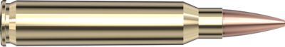 Image showing  223 Remington 75 gr BTHP Superformance Match Ammunition, 80264