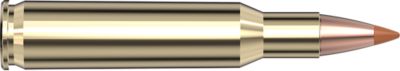 Image showing  222 Remington 35 gr NTX Superformance Ammunition, 8309