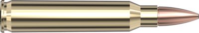 Image showing  223 Remington 62 gr FMJ BLACK Ammunition, 80234