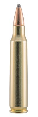 Image showing  223 Remington 55 gr SP Ammunition, 80255