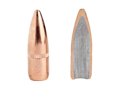 Image showing  223 Remington 55 gr FMJ-BT Ammunition, 80275