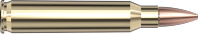 Image showing  223 Remington 55 gr FMJ-BT Ammunition, 80275