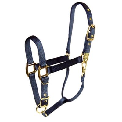 Hamilton Quality Halter, GB 1Q