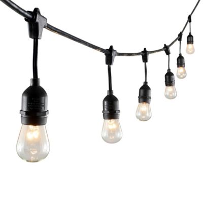 Details about   Edison Style Metal Terrarium Lamp Warm White LEDs Wire Lights Battery Operated N 