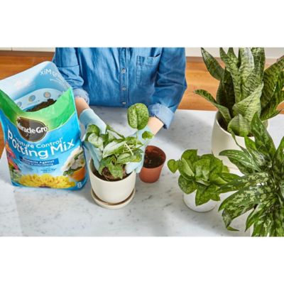 Image showing  8 qt., 1.5 lb. Moisture Control Potting Mix and Water Soluble All-Purpose Plant Food