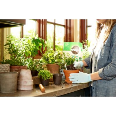 Image showing  6 qt. 8 oz. Indoor Plant Food Potting Mix