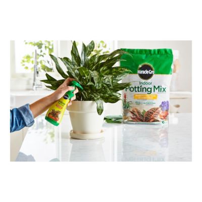 Image showing  6 qt. 8 oz. Indoor Plant Food Potting Mix