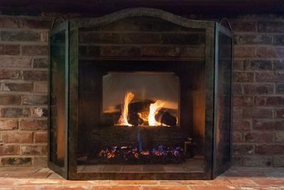 Image showing  27 in. x 27 in. 14-Gauge Stainless Steel Fireplace Fireback